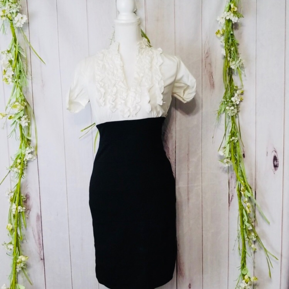 Max & Cleo sz 2 Sheath Black White Ruffle Dress